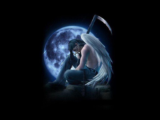 Максим Сергиенко | Москва