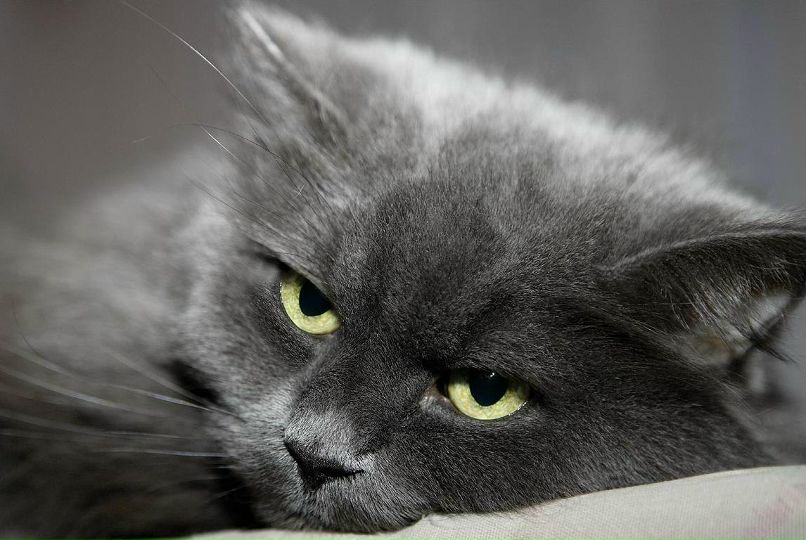 Стас Бурко | Санкт-Петербург