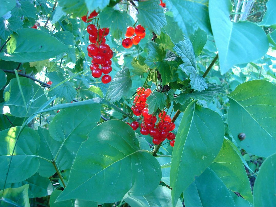 Полинка Трусова | Гатчина