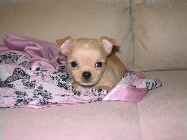 Светлана Алексеева | Санкт-Петербург