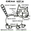 Фотография Сергей Бахарев