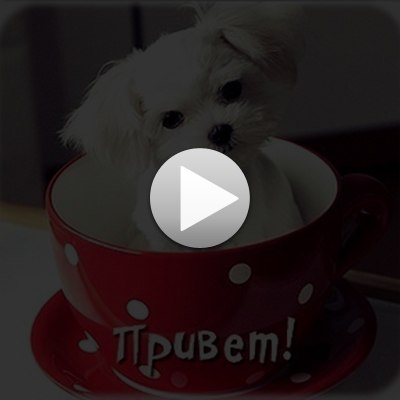 Ирина Юркевич | Околица