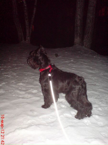 №26, Александр Дегтярев, Петрозаводск №26, Александр Дегтярев, Петрозаводск