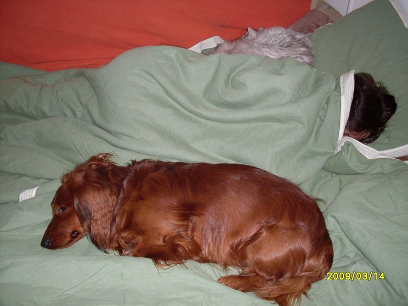 Юлия Смирнова | Москва