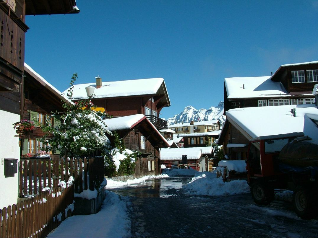 Екатерина Тимофеева | 