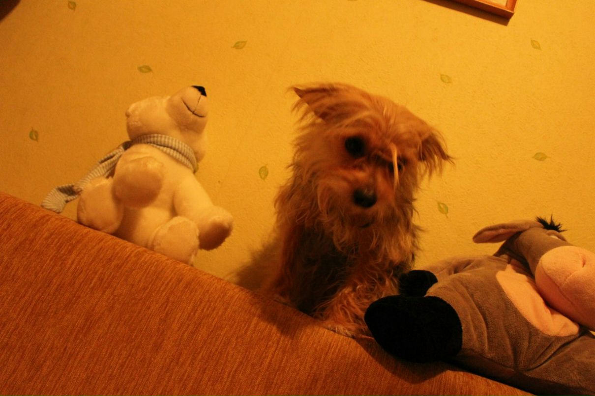 Светлана Порохина | Челябинск