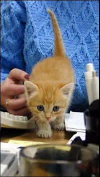 Нина Маркова | Пермь