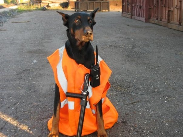 Евгений Новиков | 