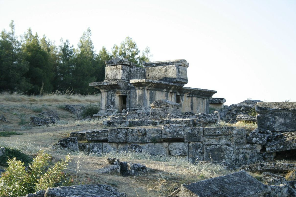 Виктор Фатерин | Новосибирск