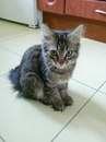 Фотография Мельника Коли