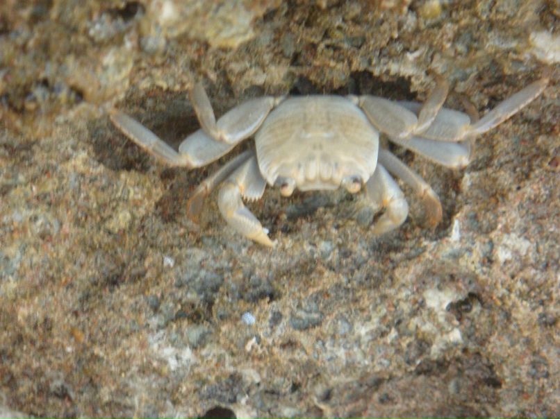 Надя Алиева | Киев