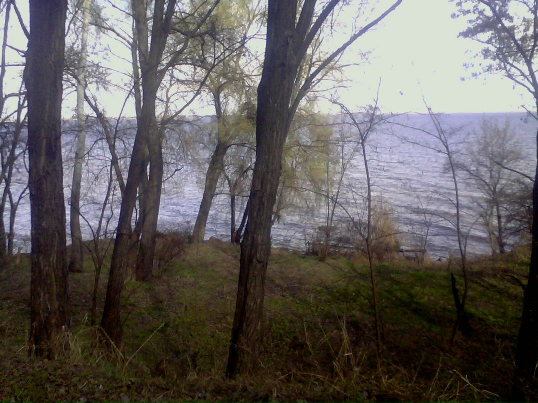 Наталья Саленик | Никополь