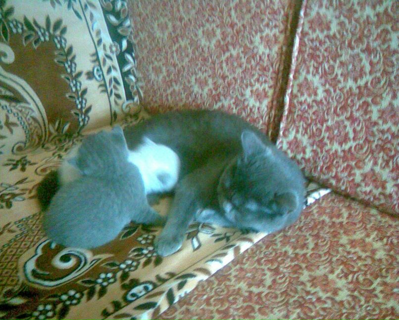 Андрей Ляшенко Александрович | Энергодар