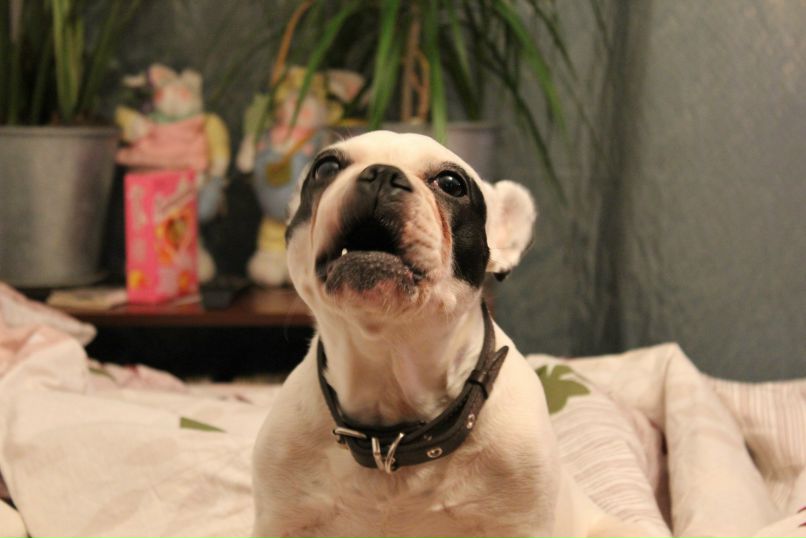 Никита Брага | Санкт-Петербург