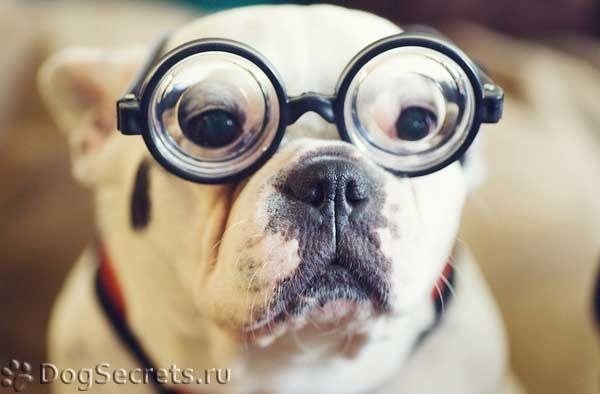 Марина Евдокимова (^_^) | Колпино