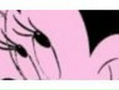 Сонечка Сухарникова | Санкт-Петербург