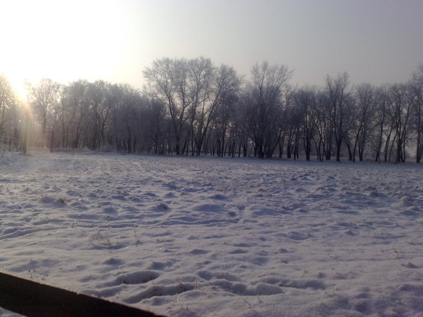 Богдан Ляшенко ©® | Борисполь