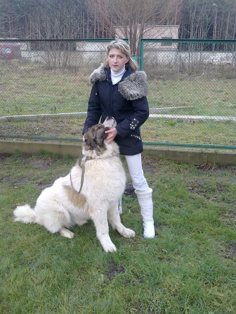 Оксана Денисова | Минск