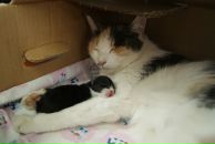 №25 Катя Гуляева 27.05.1986: профиль, фото, статус - ВКонтакте №25 Катя Гуляева 27.05.1986: профиль, фото, статус - ВКонтакте