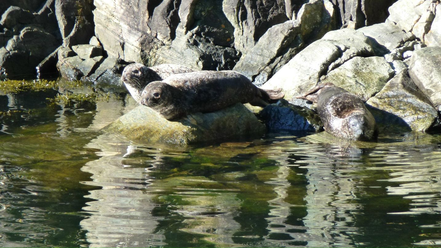 Артем Бабчинский | Санкт-Петербург