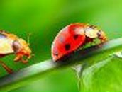 Юлия Кравцова | 