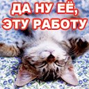 Алексей Конышев | Курган