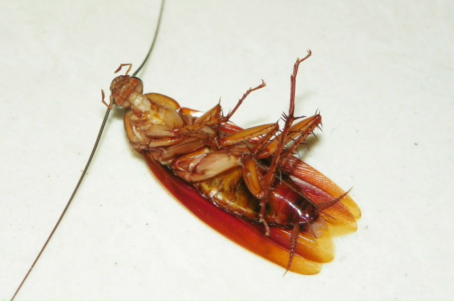 №42, Екатерина Саблина, Новосибирск, Россия №42, Екатерина Саблина, Новосибирск, Россия