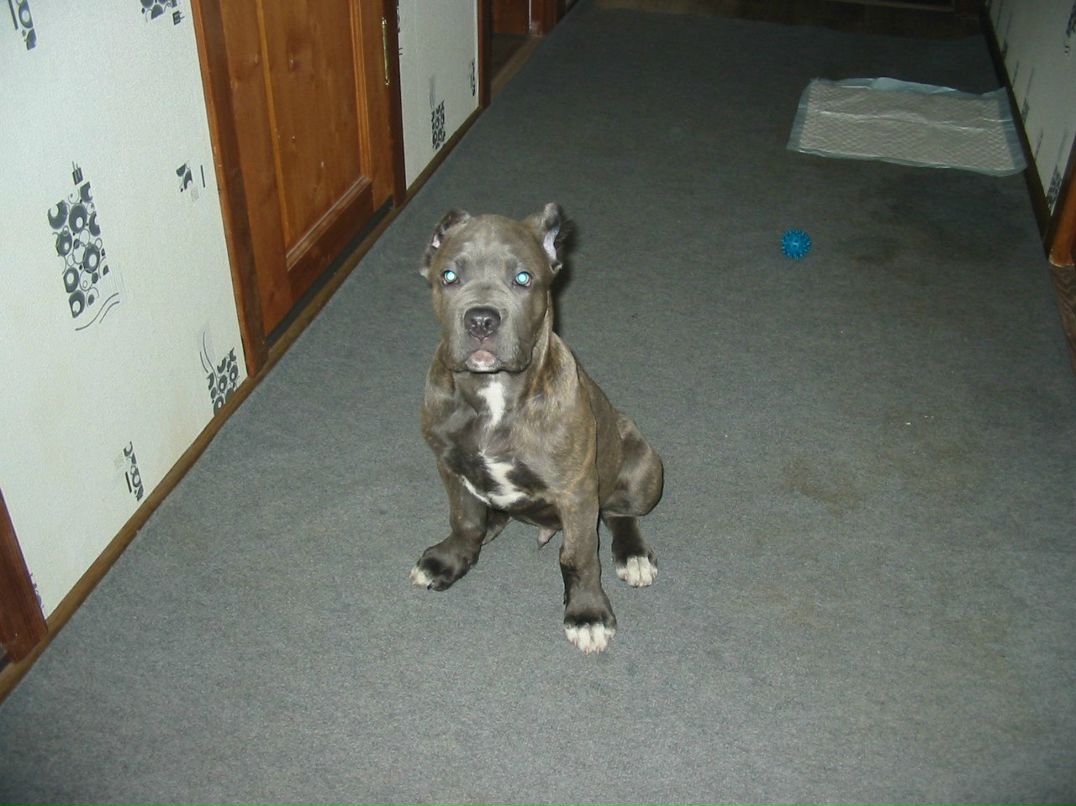 Андрей Тарануха | Санкт-Петербург