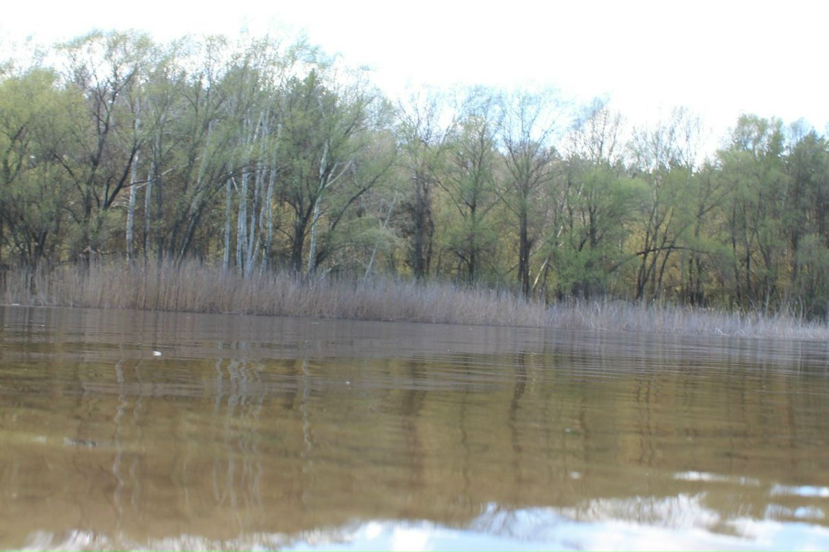 Владислав Краснобрыжий firevsk | Каменское / Днепродзержинск