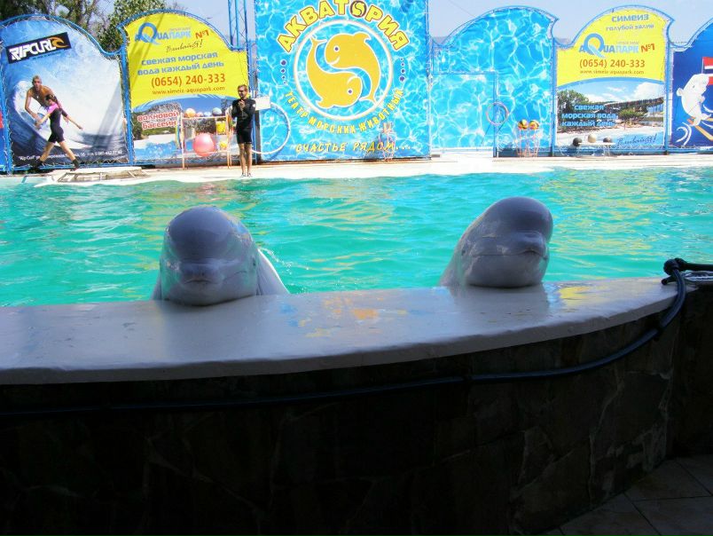 №102, Марина Чумаченко, 22 года, Днепр (Днепропетровск) №102, Марина Чумаченко, 22 года, Днепр (Днепропетровск)