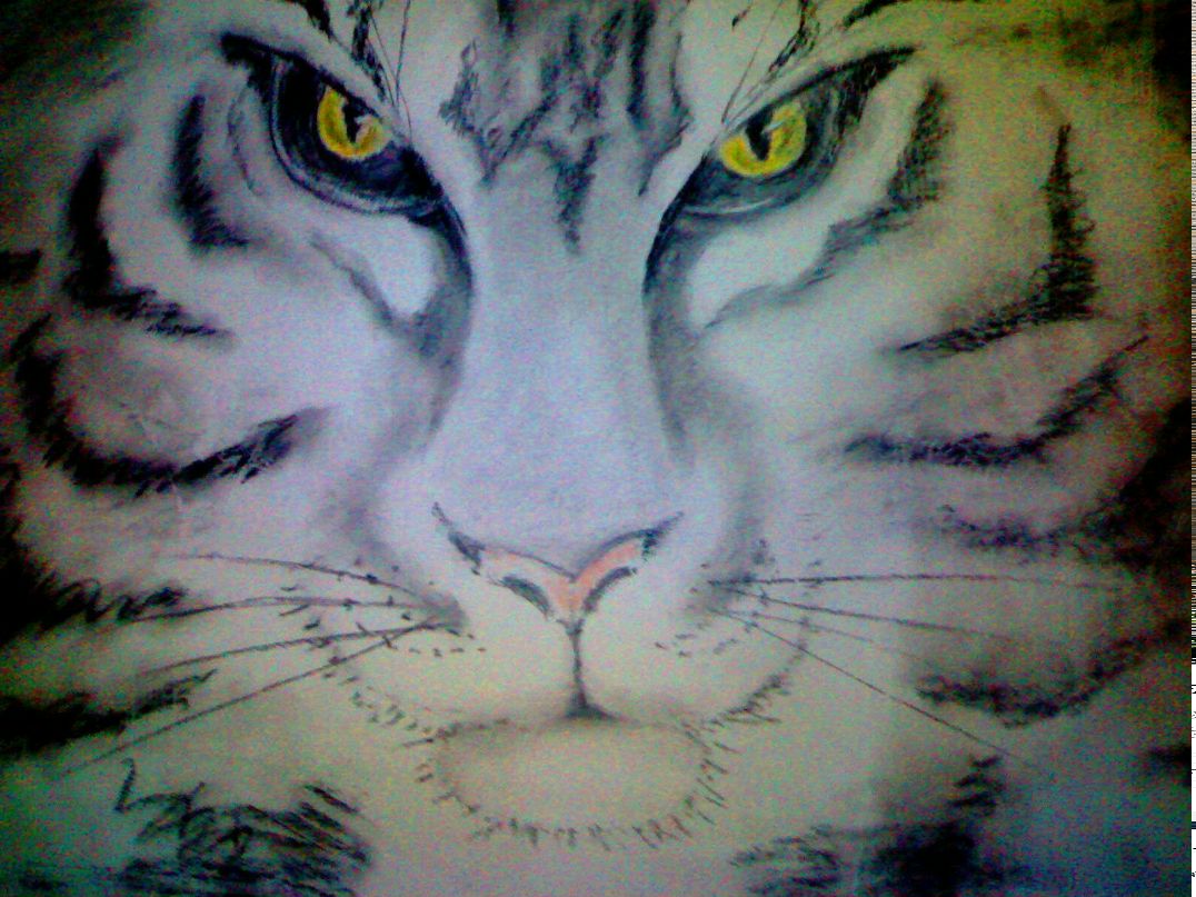 Екатерина Богданова | 