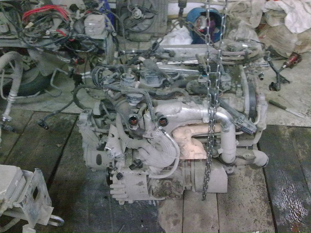 Денис Лаптев | 