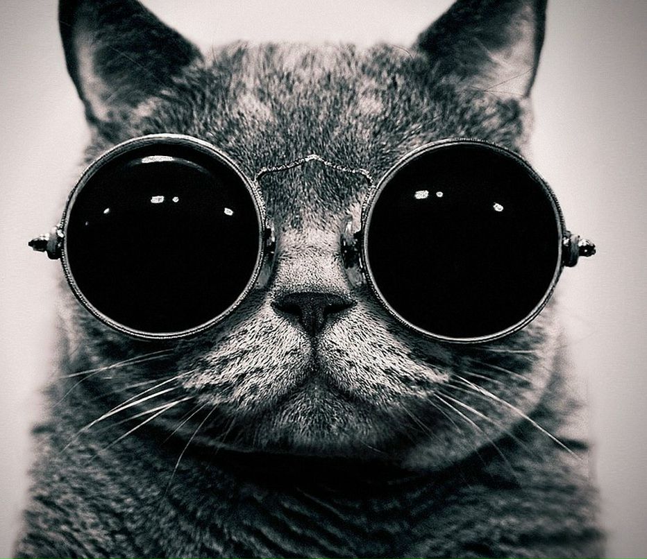 Денис Сергеев | Санкт-Петербург