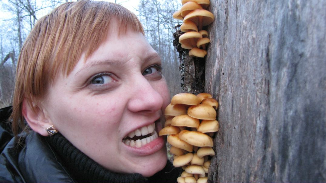 №91, Катя Бадрухина, Владикавказ №91, Катя Бадрухина, Владикавказ