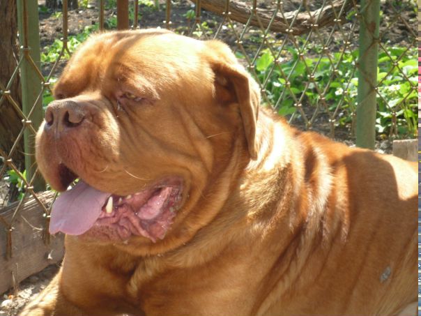 №49, Ксения Зубчук, Одесса №49, Ксения Зубчук, Одесса