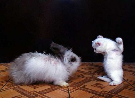 Виталия Ратькова | 