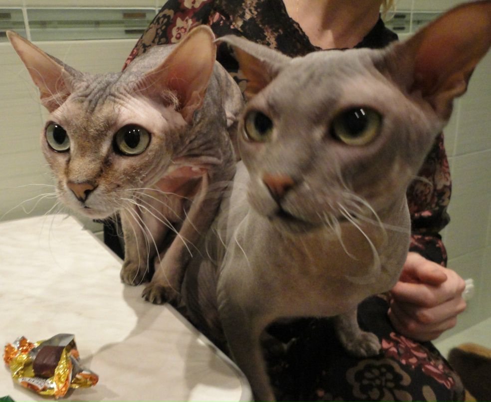 Ирина Лукина | Петрозаводск