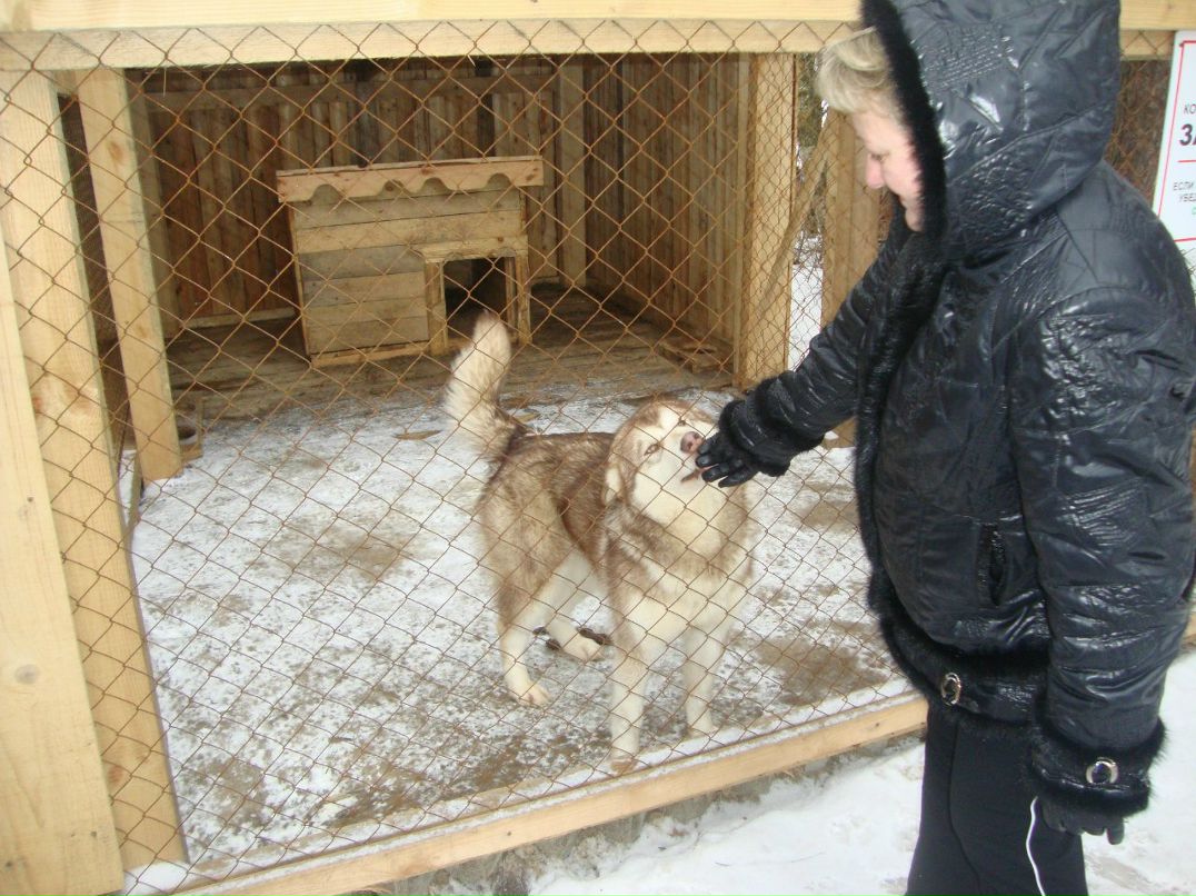 Татьяна Попович | Санкт-Петербург