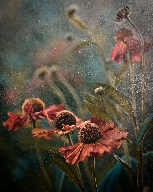 Татьяна Бобровская | 