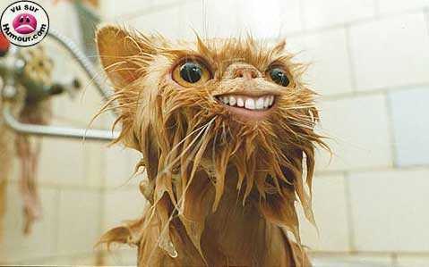 №19, Андрюха Дармостук, Херсон №19, Андрюха Дармостук, Херсон