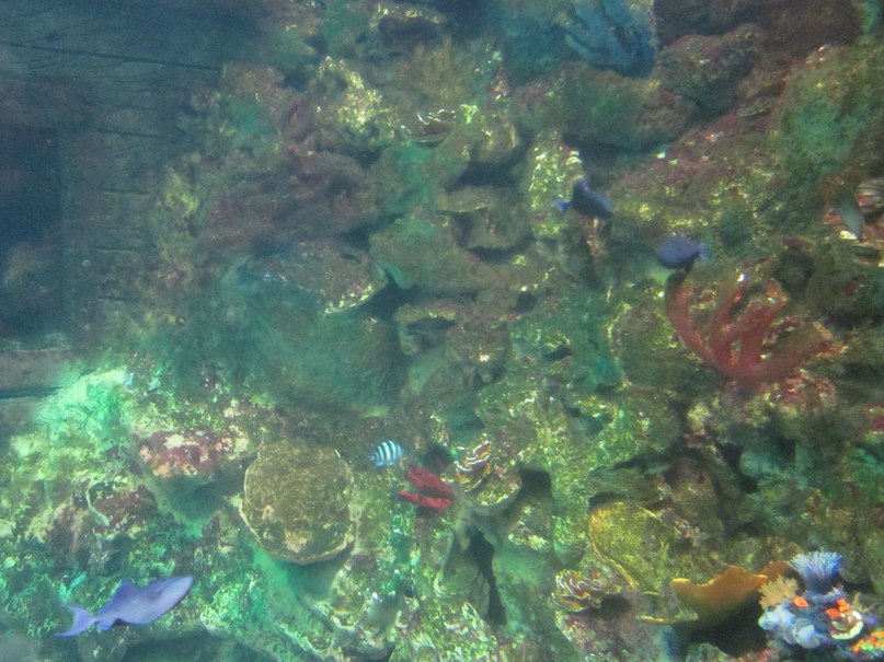 Никита Бондарев | Павловск