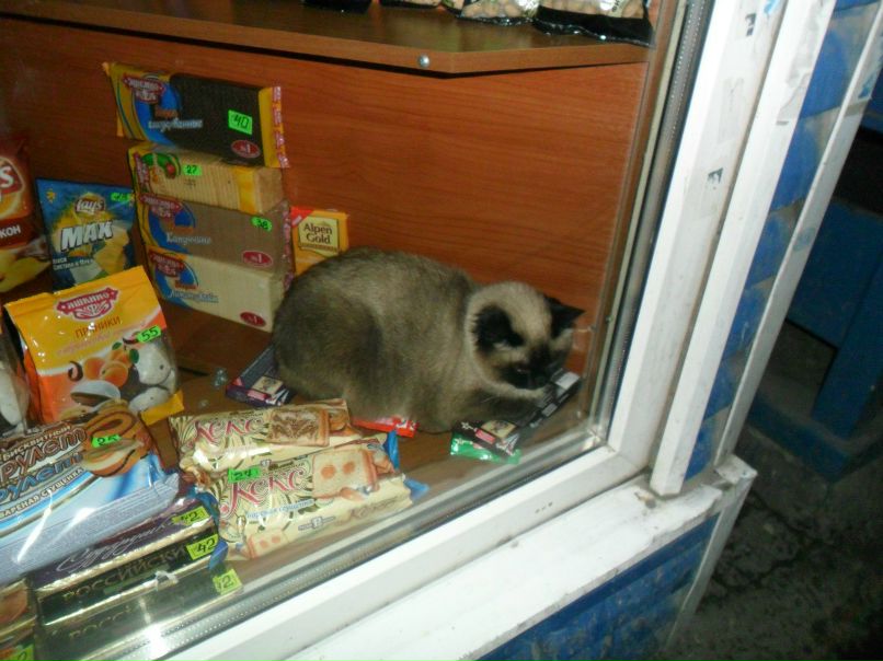 Роман Гуничев Verdad | Магнитогорск