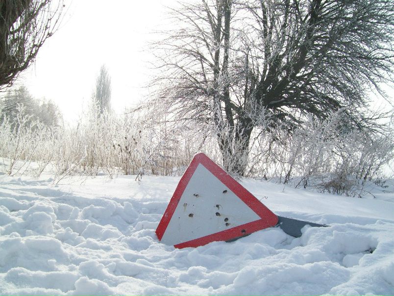 №17, Владимир Луценко, 44 года, Белая Церковь №17, Владимир Луценко, 44 года, Белая Церковь