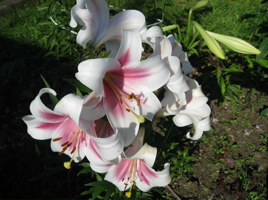 Евгения Рослякова | Санкт-Петербург