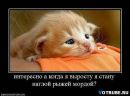 №16 Марина Миронова 26.02.1987: профиль, фото, статус - ВКонтакте №16 Марина Миронова 26.02.1987: профиль, фото, статус - ВКонтакте