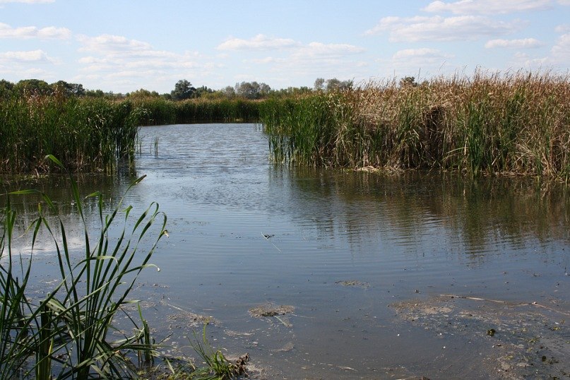 Маргарита Иванова | Москва