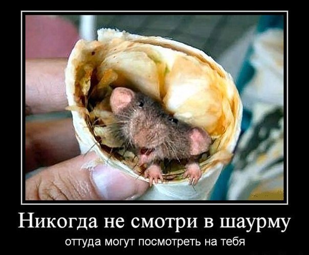 Татьяна Норкина | Тюмень