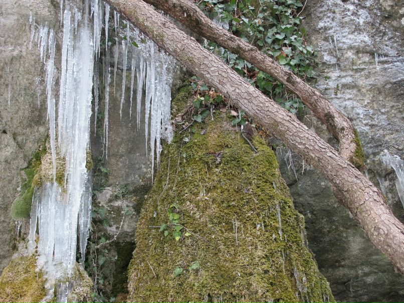 Игорь Баженов | 