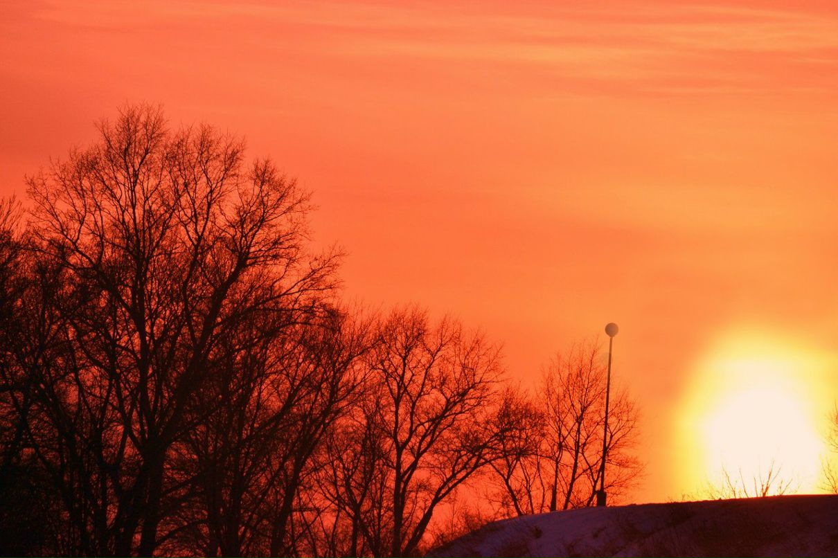 Николай Парфёнов | Великие Луки