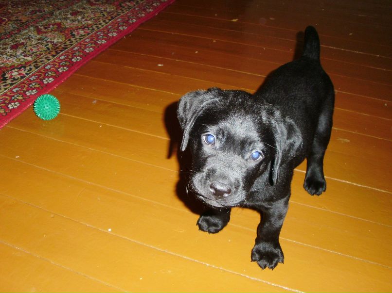 Елена Кузнецова | Череповец